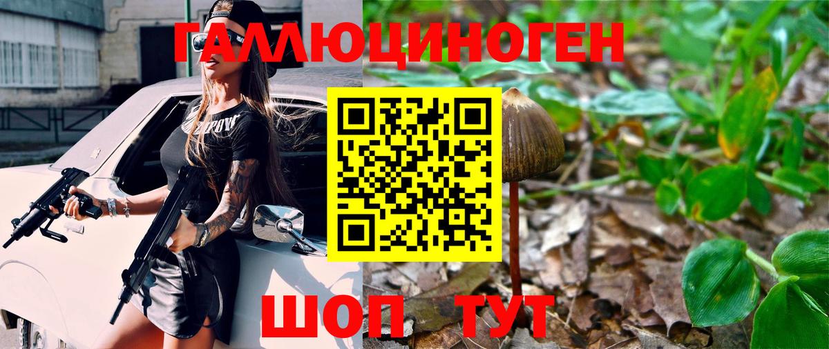 Арсеньев  Галлюциногенные грибы Psilocybine cubensis  Вход с VPN 